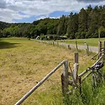 Apartament Am Bungert *