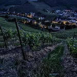 Am Bungert