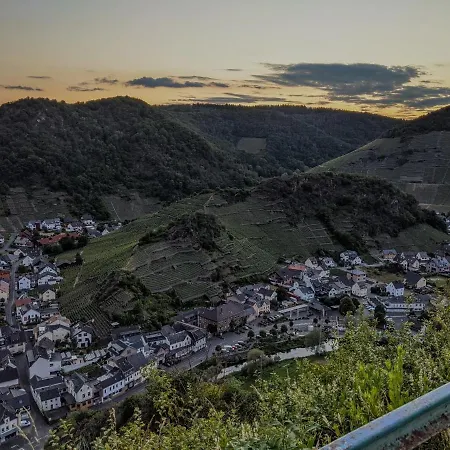 Am Bungert 아파트 Mayschoß