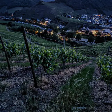 Am Bungert