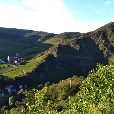 Am Bungert